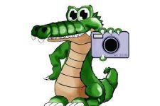 Logo for No Blink Pictures, LLC Logo for No Blink Pictures, LLC