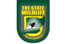 Logo for Tri-State Wildlife, LLC Logo for Tri-State Wildlife, LLC